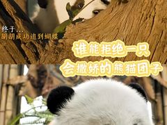 -保利国际影城(北京缤纷城店)