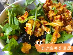 臭豆腐-黑色经典臭豆腐·湖南特产(坡子街特产局店)