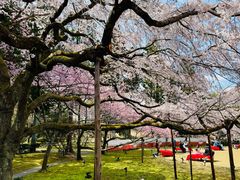 -醍醐寺