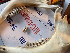 -郭记花江肉馆(青山湖店)