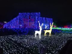 -亚龙湾国际玫瑰谷