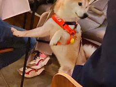 -the rug 飞毯 (朝阳公园店)