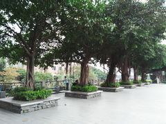 -黄埔古港
