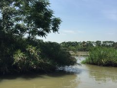 -大湾区中央湿地公园