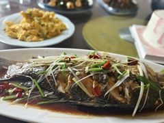 -崂山水果园农家宴(泉水鸡店)