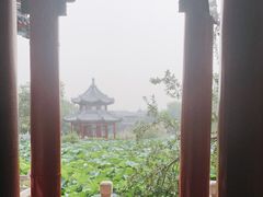 -莲池书院博物馆