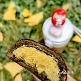 可可爱爱的巧克栗🌰