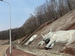 -哈尔滨北方森林动物园