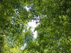 -陶祖圣境风景区