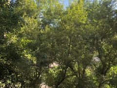 -山西大学(大东关校区)