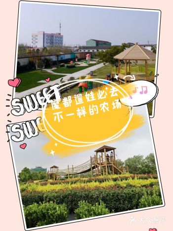 上海遛娃必打卡点|你没见过的亲子农场哦!