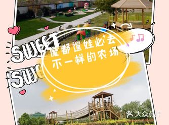 上海遛娃必打卡点｜你没见过的亲子农场哦！