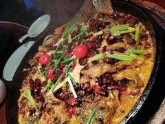 -老板恋上鱼(高新万达店)