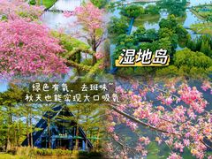 -佛冈森波拉度假区