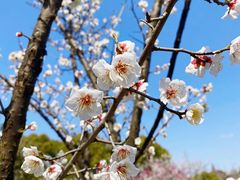 -狼山风景名胜区