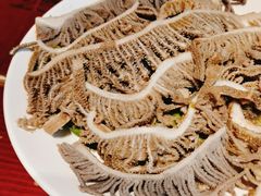 精品千层肚-黄家码头老火锅(解放碑旗舰店)
