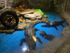 -多彩贵州城极地海洋世界