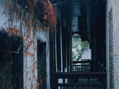 -何园