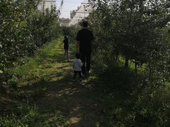 -意大利农场度假村