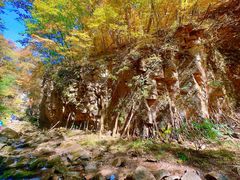 -五女峰国家森林公园