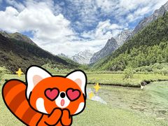 -稻城亚丁景区-冲古草甸