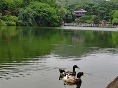 -白马涧龙池景区