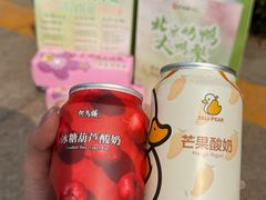 -大鸭梨烤鸭(望京店)