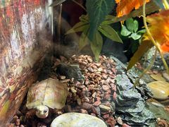 -上海海洋水族馆