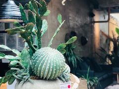 -三秋舍·梦幻岛(小西路店)