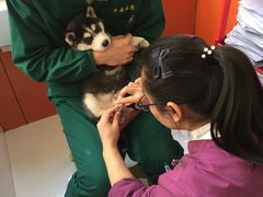 -惠康宠物医院(华能路店)