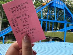 -上海共青森林公园