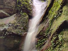 -中国大熊猫保护研究中心雅安碧峰峡基地