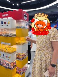 -乐高品牌旗舰店(人民广场店)