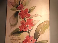 -星巴克(开封万达广场店)