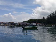 -蓝湾碧波·老字号·疍家非遗海上餐厅
