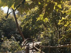 景点-天门沟九州驿站树上汤泉