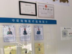 -守诺宠物医院·眼科· 特色牙科·异宠专科(虹口店)