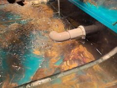 -苏格里岛自助烤肉海鲜火锅(成都金牛万达店)