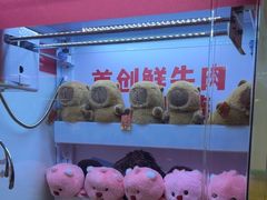 -左庭右院鲜牛肉火锅(浦江欢乐颂店)