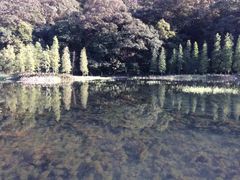 景点-广州市石门国家森林公园
