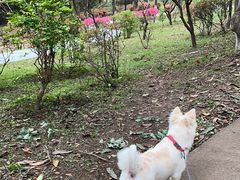 -燕晗山郊野公园