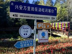 -汤旺河林海奇石景区