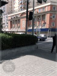 -金太子形象设计