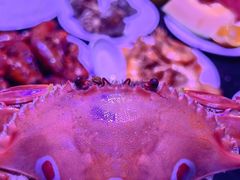 -萧邦音乐会所KTV·蒸汽活海鲜自助(福田店)