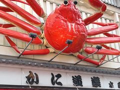 -蟹道乐(道顿堀本店)