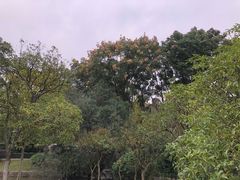 -峙山公园