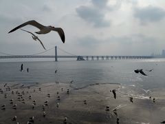 -星海广场