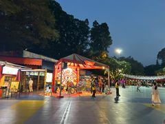 -广州长隆国际大马戏