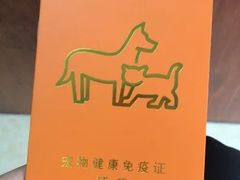 -美联众合动物医院·伴可分院·内科中心医院
