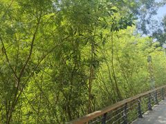 -红花山公园